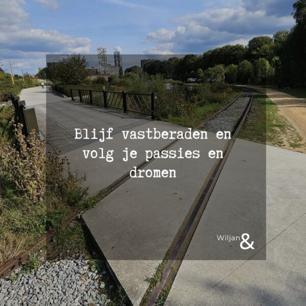 WAT NU? Een nieuw pad vol kansen WAT NU? Een nieuw pad vol kansen