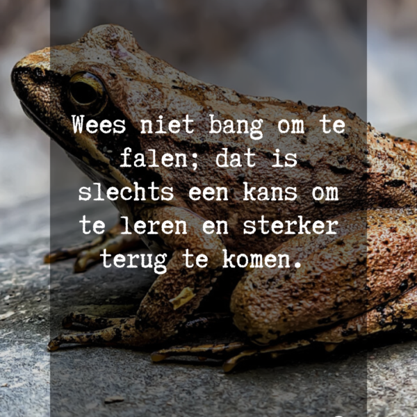 VAN ERVARING NAAR IMPACT.