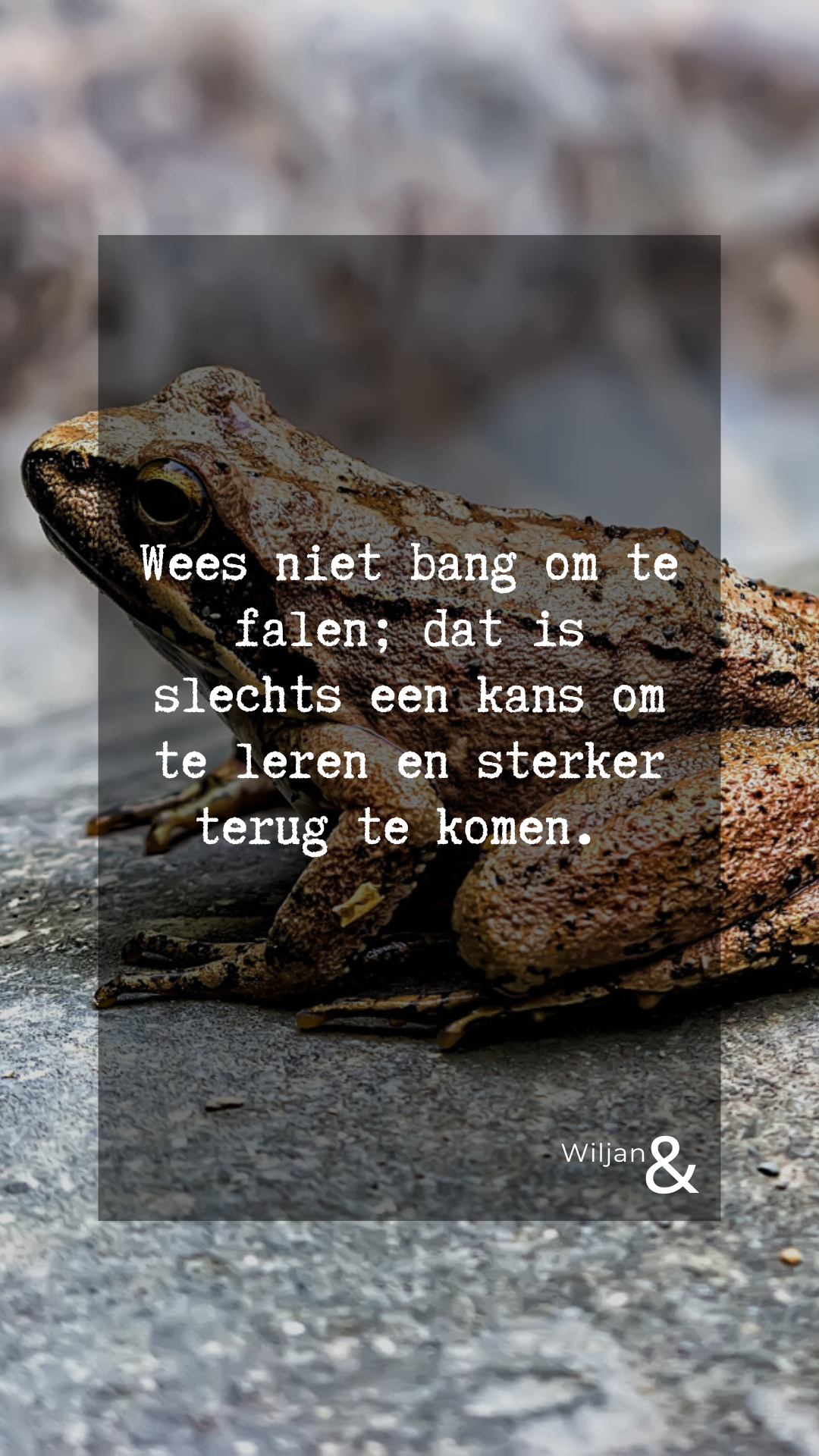 VAN ERVARING NAAR IMPACT.