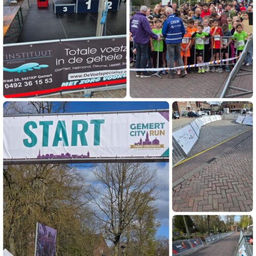 ONDERNEMEN MET IMPACT : waarom maatschappelijke inzet ertoe doet