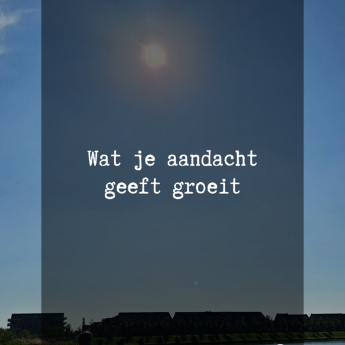 WAT JE AANDACHT GEEFT, GROEIT