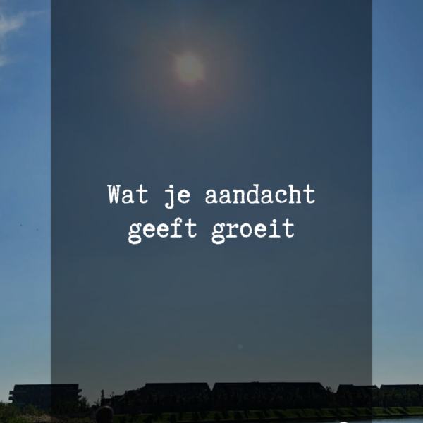 WAT JE AANDACHT GEEFT, GROEIT WAT JE AANDACHT GEEFT, GROEIT